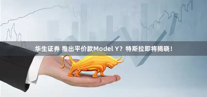 华生证券 推出平价款Model Y?特斯拉即将揭晓!